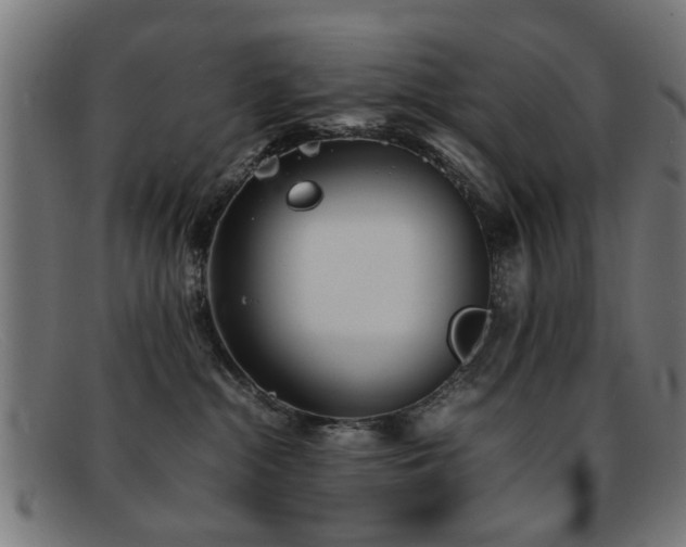 X0000092100284200709121550