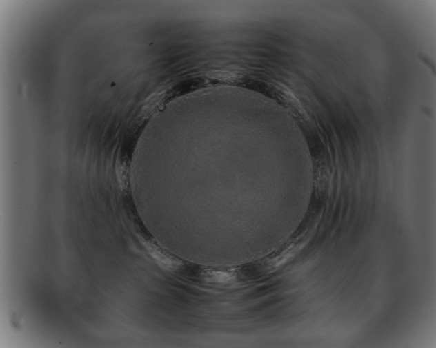 X0000092100285200709121550