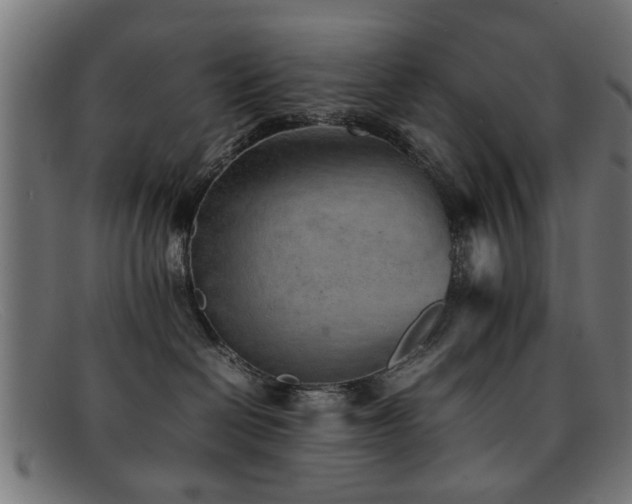 X0000092100286200709121550