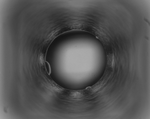 X0000092100287200709121550