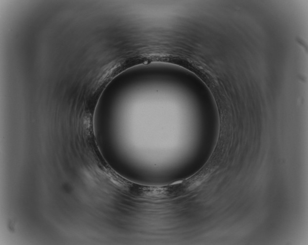 X0000092100288200709121550