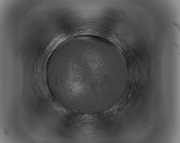 X0000092100290200709121549