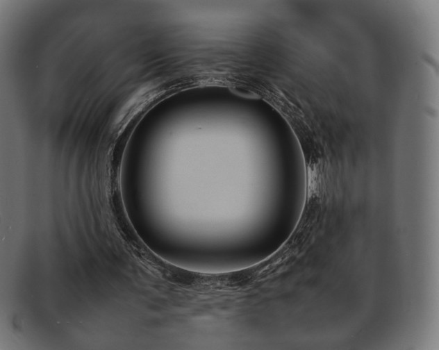 X0000092100291200709121549