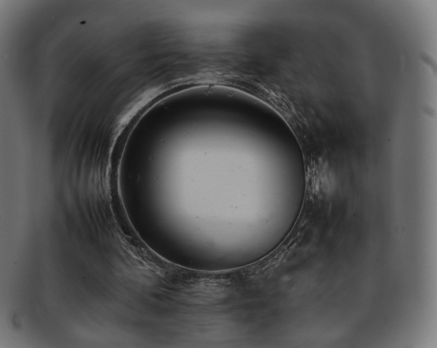 X0000092100292200709121549