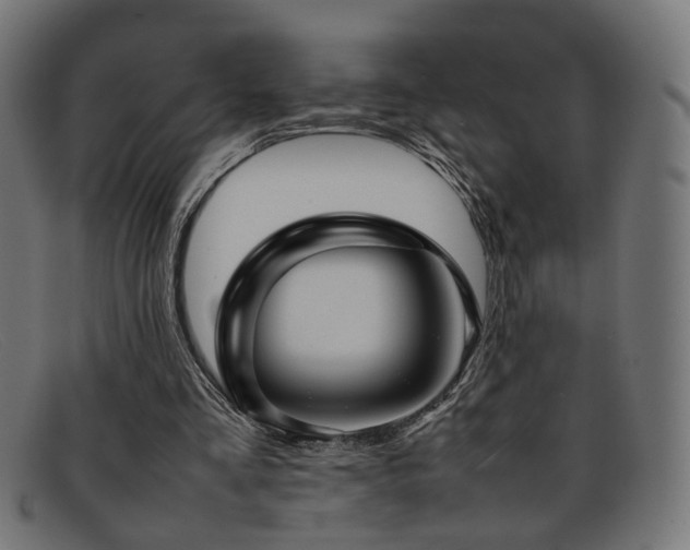 X0000092100293200709121549