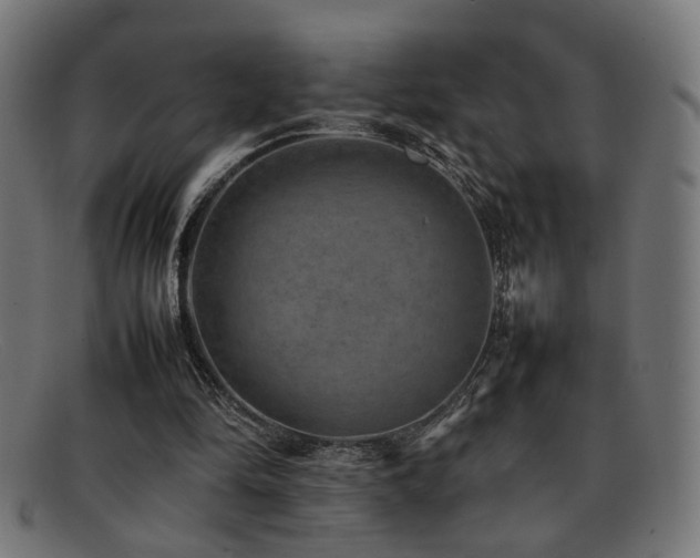 X0000092100294200709121549