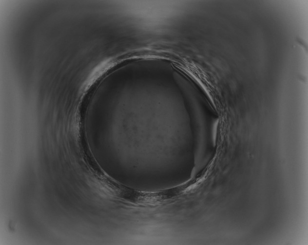 X0000092100295200709121549