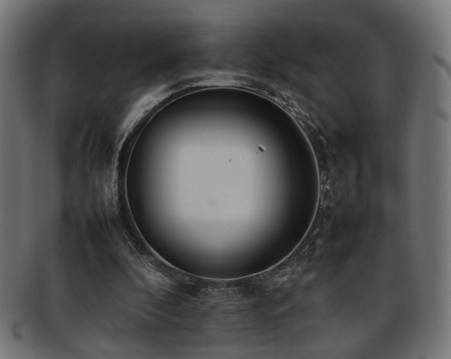 X0000092100296200709121549