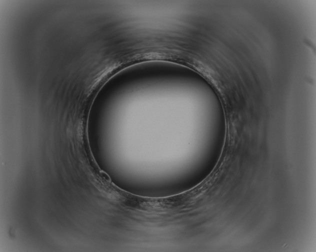 X0000092100297200709121549