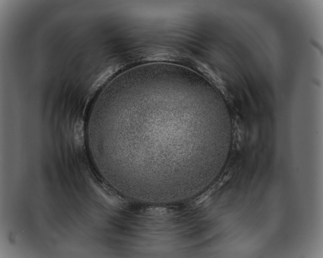 X0000092100298200709121549