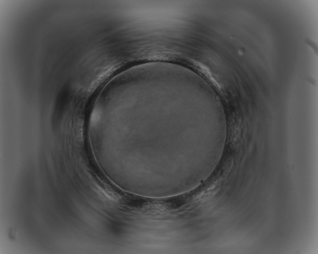 X0000092100299200709121549