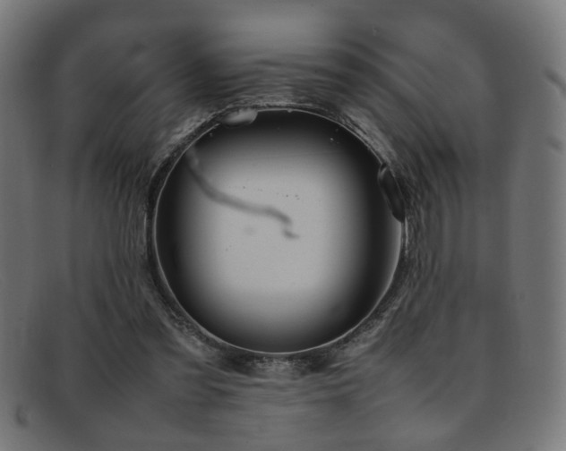 X0000092100301200709121549