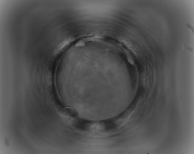 X0000092100303200709121549