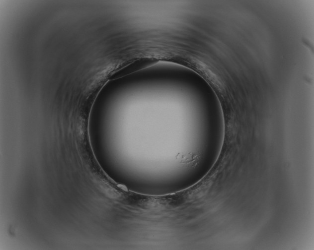 X0000092100305200709121549