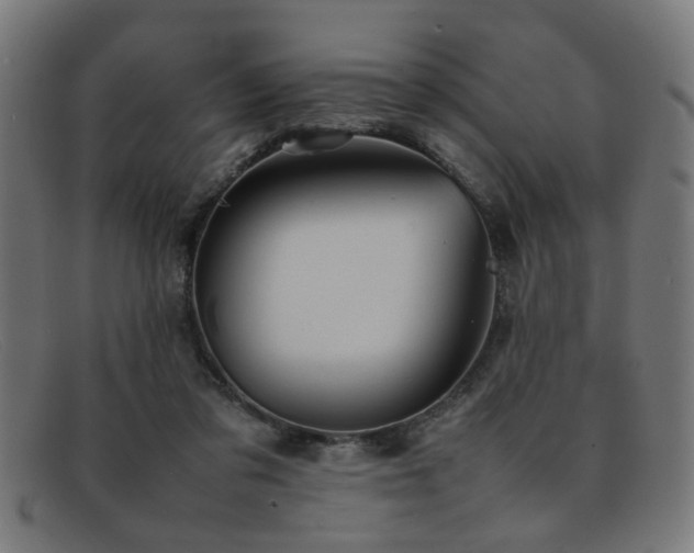 X0000092100309200709121549