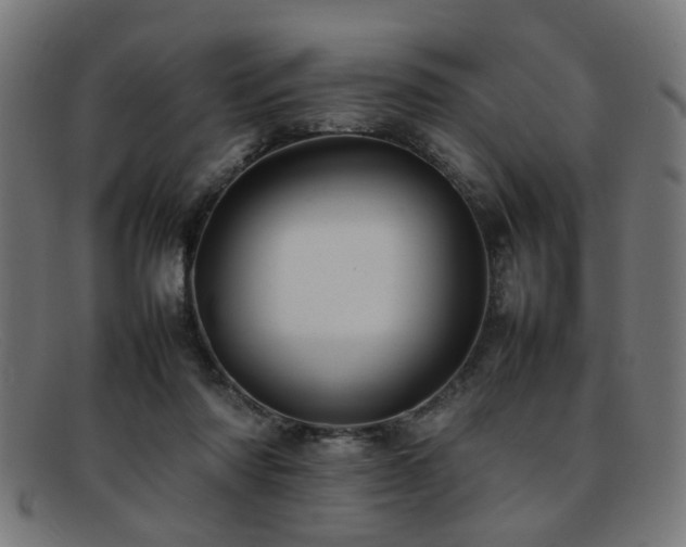 X0000092100310200709121549