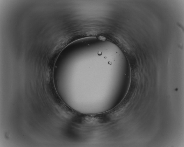 X0000092100311200709121549