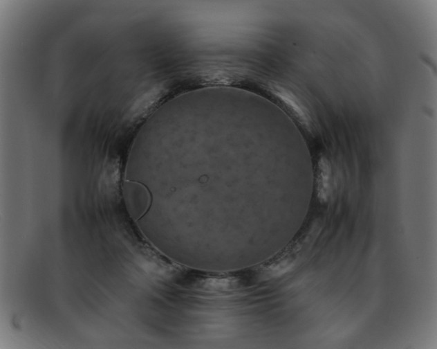 X0000092100314200709121549