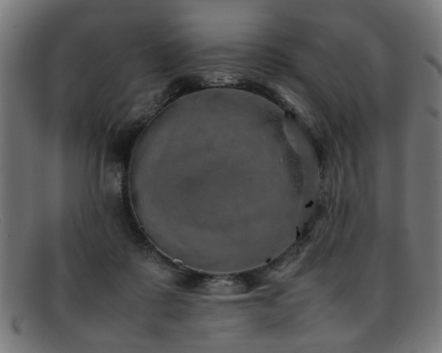 X0000092100315200709121549