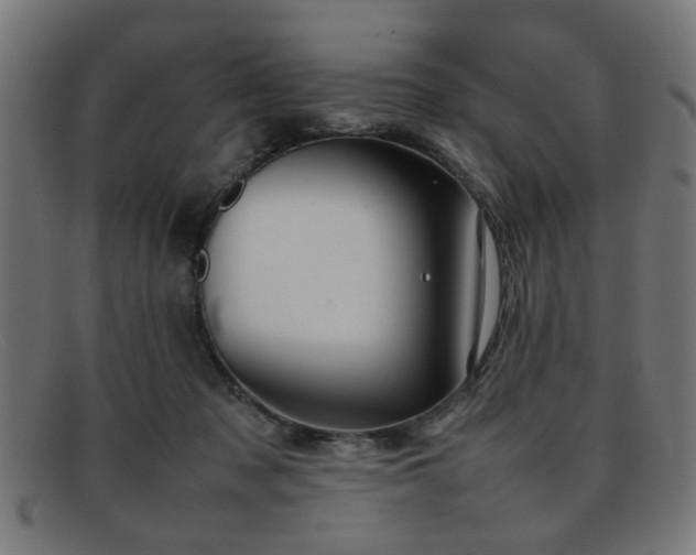 X0000092100317200709121549