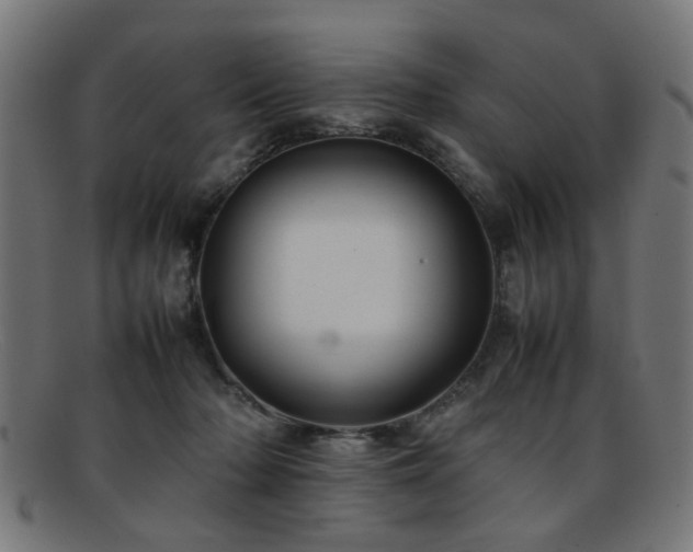 X0000092100318200709121549