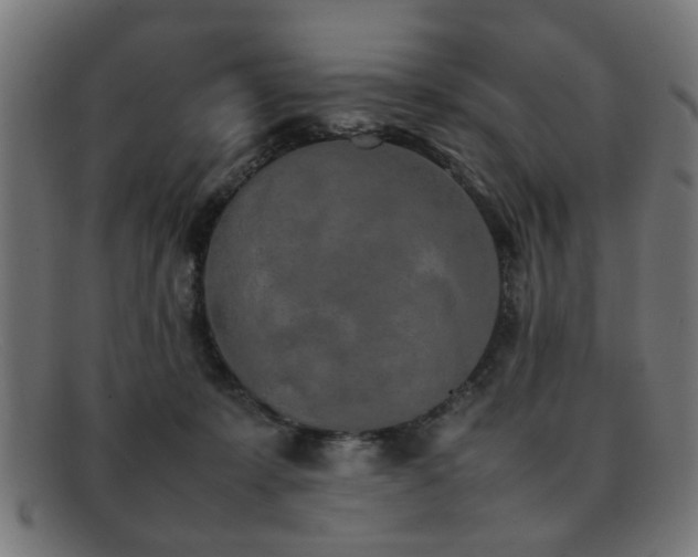 X0000092100319200709121549