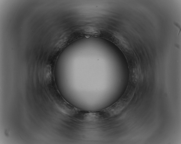 X0000092100320200709121549