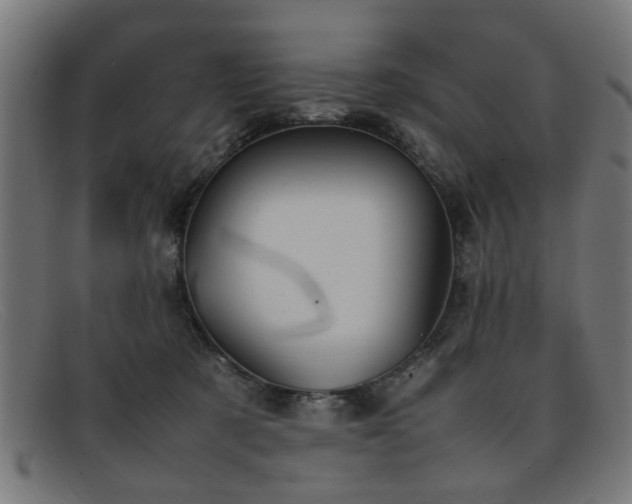 X0000092100321200709121549