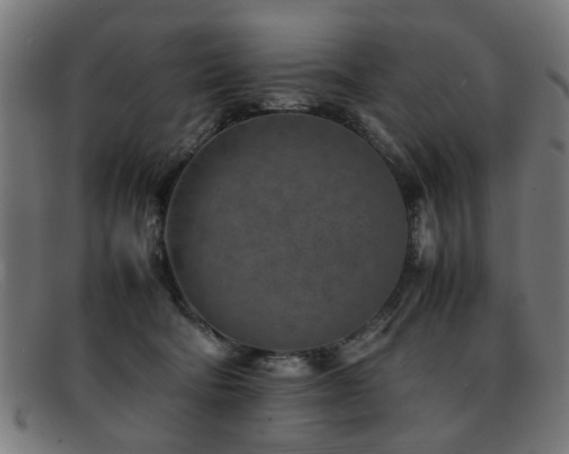 X0000092100322200709121549