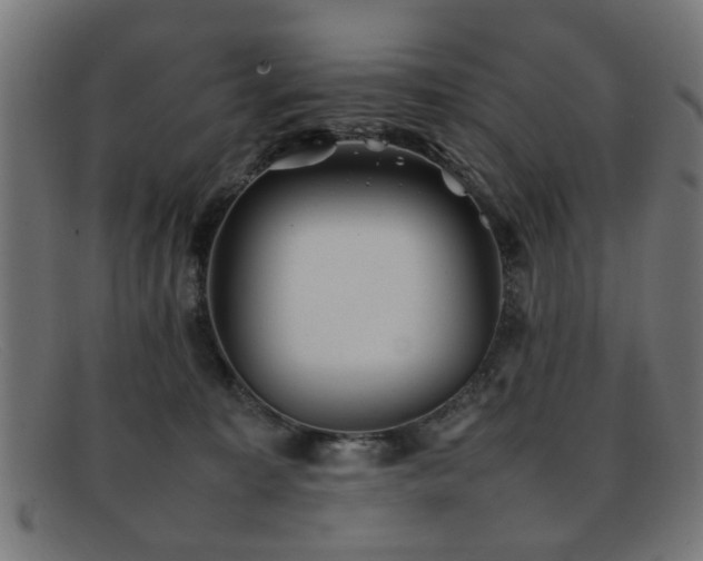 X0000092100323200709121549