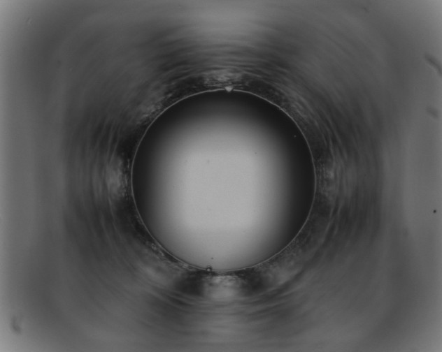 X0000092100324200709121549