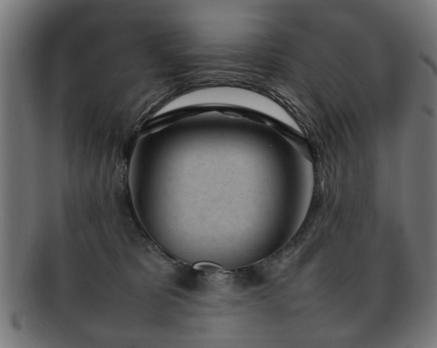 X0000092100325200709121549