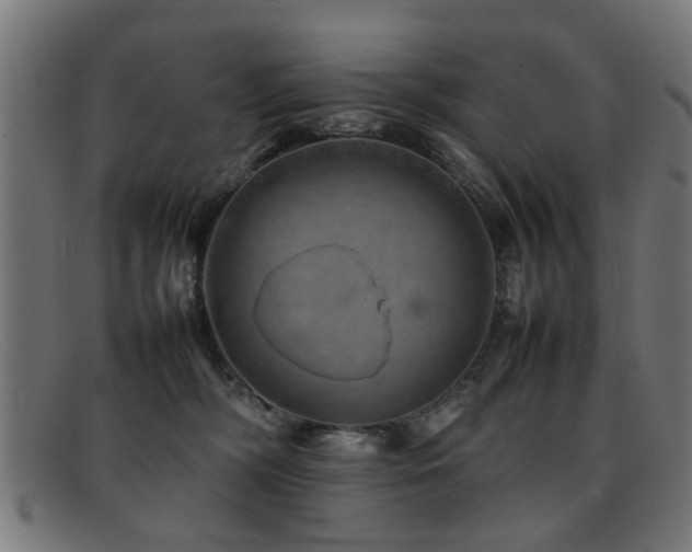 X0000092100326200709121549