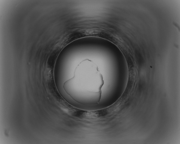 X0000092100327200709121549