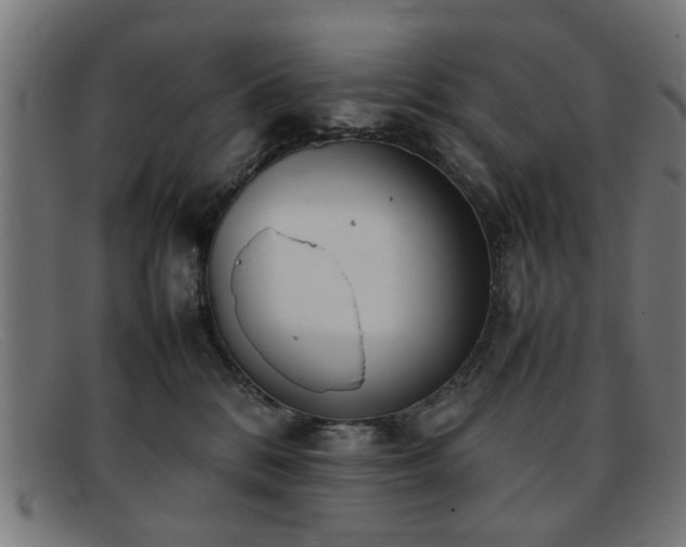 X0000092100328200709121549