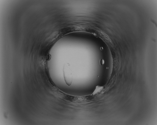 X0000092100329200709121549