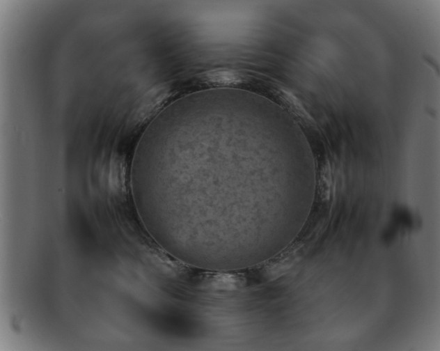 X0000092100330200709121549