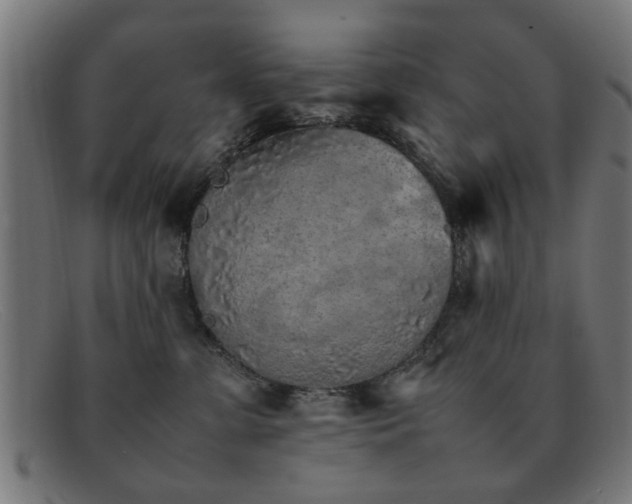 X0000092100331200709121549