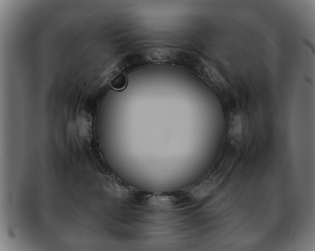 X0000092100332200709121549