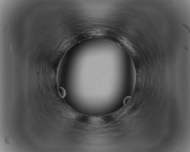 X0000092100333200709121549