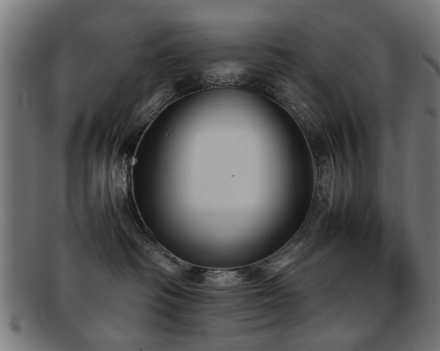 X0000092100334200709121549