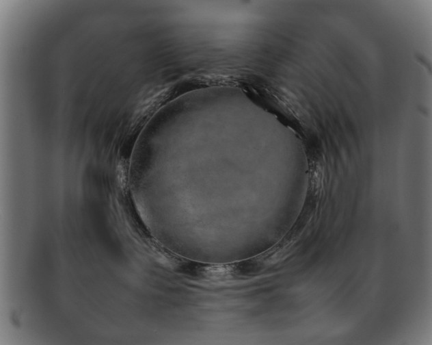 X0000092100335200709121549