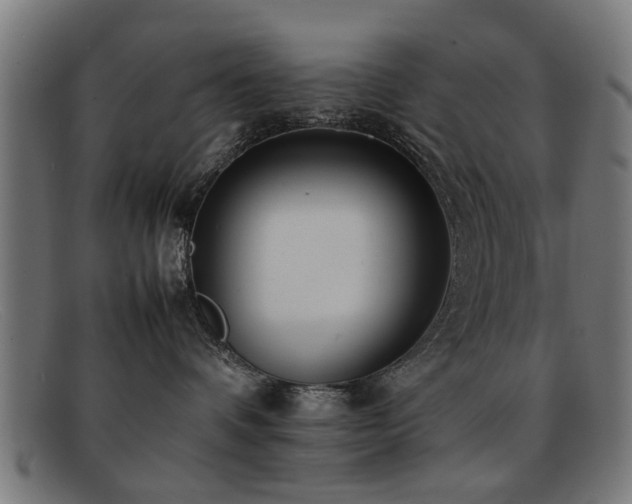 X0000092100336200709121549