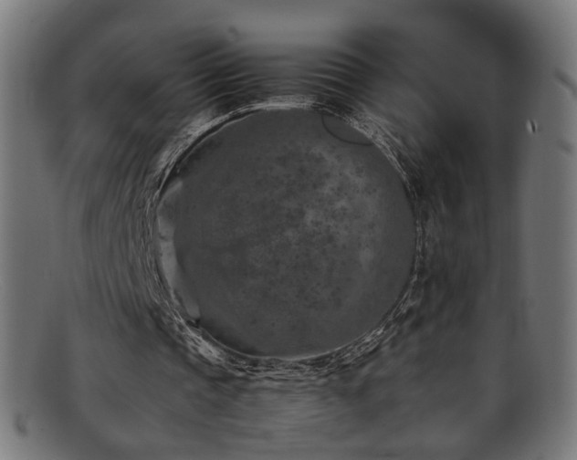 X0000092100337200709121548