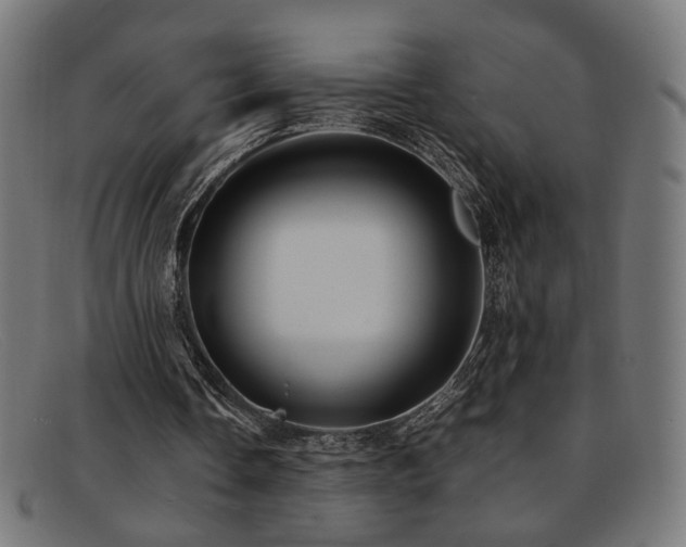 X0000092100338200709121548