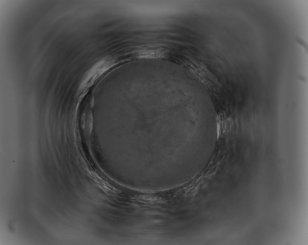X0000092100339200709121548