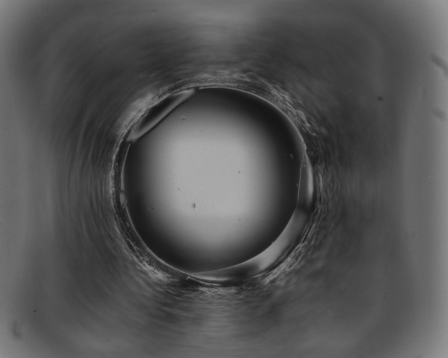 X0000092100340200709121548