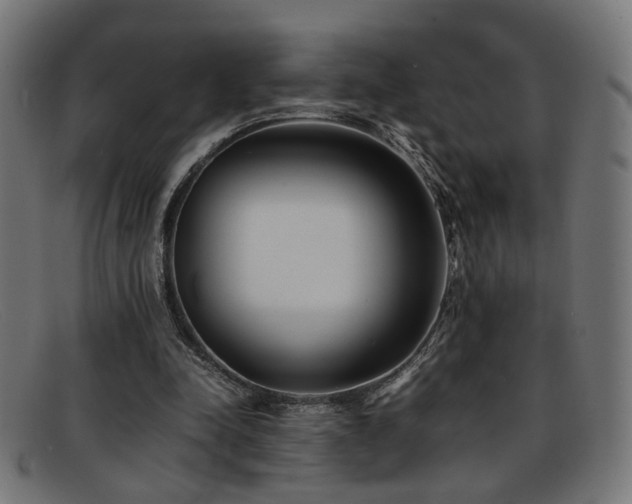 X0000092100342200709121548