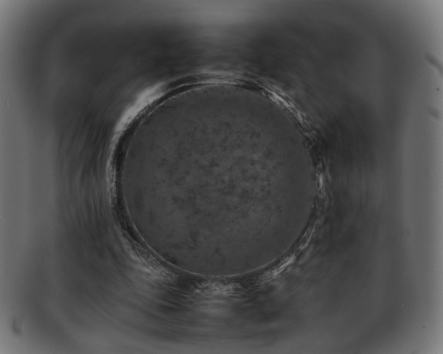 X0000092100343200709121548