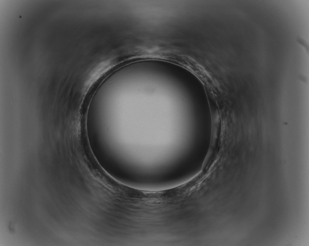 X0000092100344200709121548